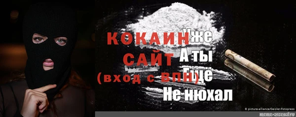 твердый Алексин