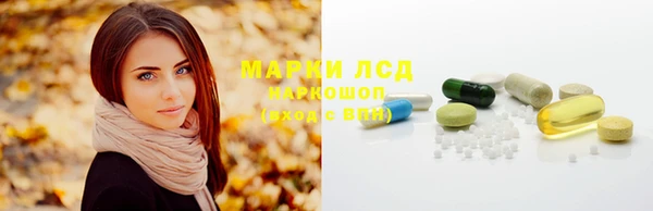 сатива Алзамай