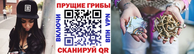 Псилоцибиновые грибы MAGIC MUSHROOMS  Купить где  Асино 